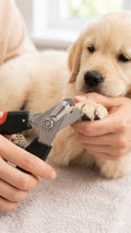 Pet Nails