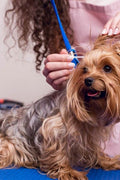 Pet Ears